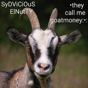 they call me goatmoney_SydviciouS ElNuttY