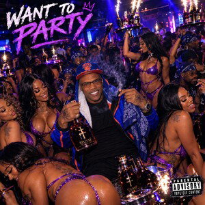 Want To Party