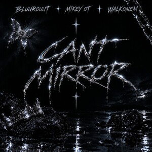 CANT MIRROR
