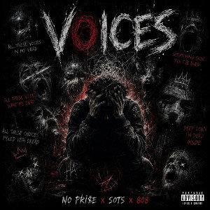 No Pri$e Voices Ft Sots & 808