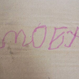 Moet