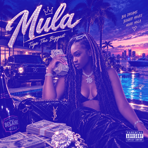 Mula (Slowed + Reverb)