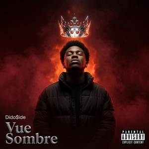 Dido$ide-Vue Sombre