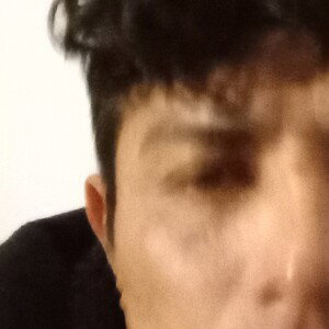provisa