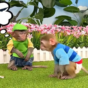 MB (no beef) King Kong diss track part 7