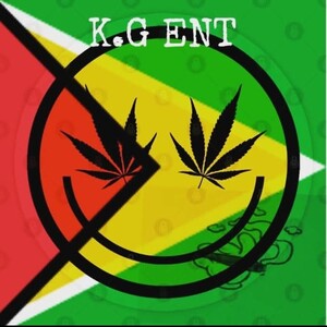 It's MOB'N FESTIVAL (freestyle)