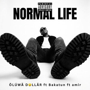 Normal life 