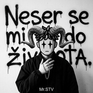 Neser se mi do života