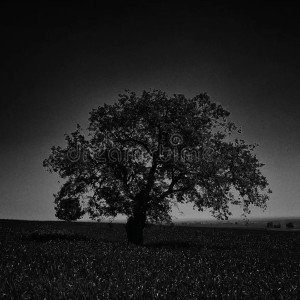 Boom Bap Beat 161