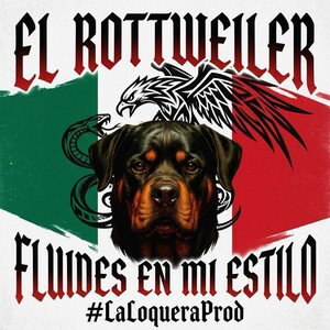 Fluides en mi estilo #LaLoqueraProd