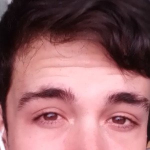 Mas frees ole ole los caracoles