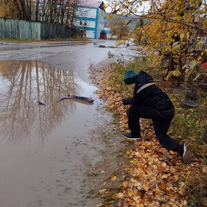 вступление 