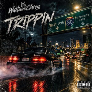 Trippin [prod.SAINTPAISA