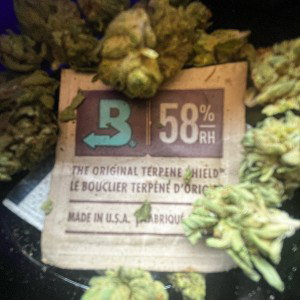 Weed all nights/Rap hits