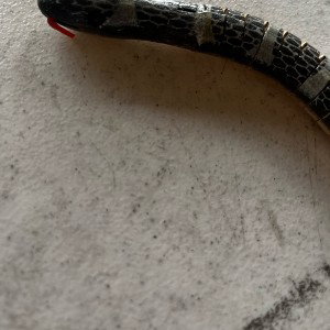 Rattlesnake raps