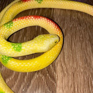 snake