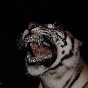 I'am dangerous