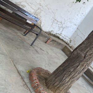DOG (maqueta)