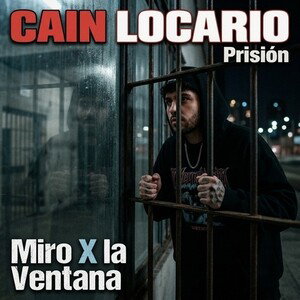 Miro X la Ventana 