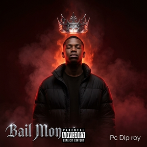 Bail Money