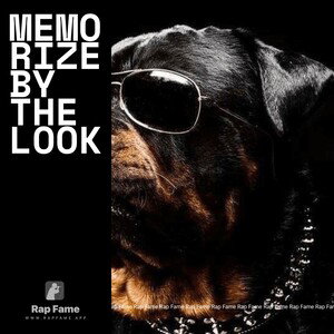 Memorize by the Look