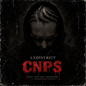 CNPS ( Ceci N'est Pas Streamable)