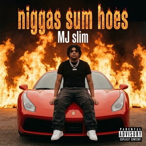 niggas sum hoes