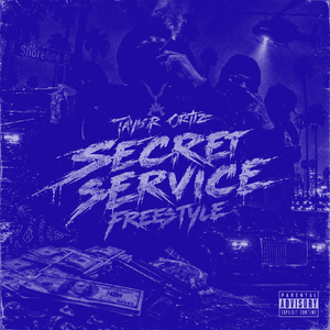 Secret Service Freestyle  (Slowed + Reverb)