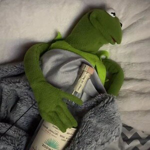 Ms Piggy Cheated On Me
