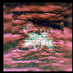 𝕰𝖈𝖔𝖘