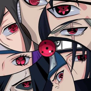 they hide