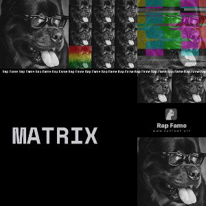 matrix