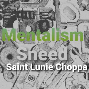 Jay Sneed - mentalism _fuck u_featuring Saint Lunie Choppa