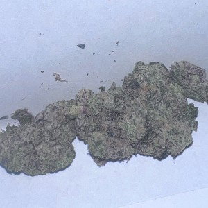 Verde En Mis Zigzags 