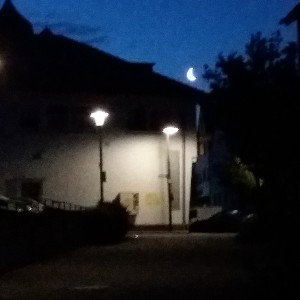 🐺 GRFFT 🐺