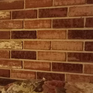 bricks