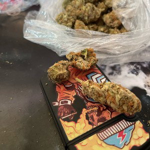 freestyle session 101