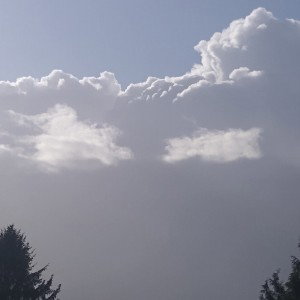 cloudy 