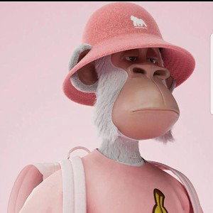 manoey