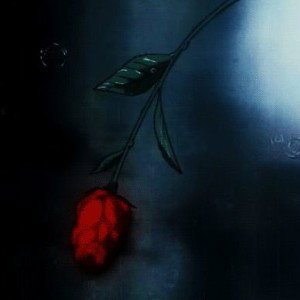 Irish Rose