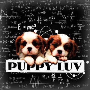 Puppy Luv