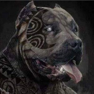 Der König Der Kaiser der rapfame Seele