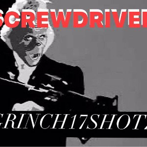 SCREWDRIVER