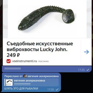 Клозетная Егазеба #1
