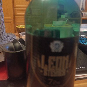 STON3R • SKITUNG