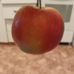 яблоко# альбом-говнорэп