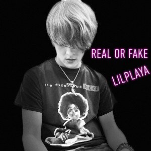 Real Or Fake Snippet