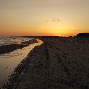 Скорость