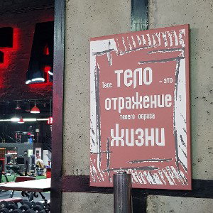 Новая любовь 
