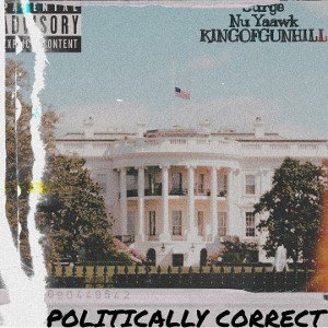 Nextlevel Ent - Politically Correct - 
